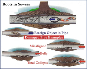 Colorado Springs sewer damage repair